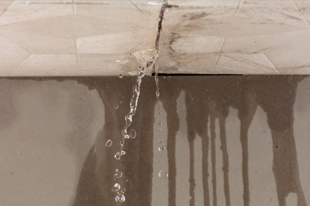 Professional Water Damage Inspection technician working in Cranberry Isles, ME
